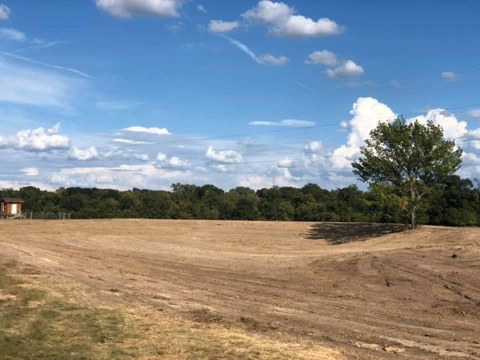 Open field under a blue sky with clouds, bordered by trees and a single large tree on the right