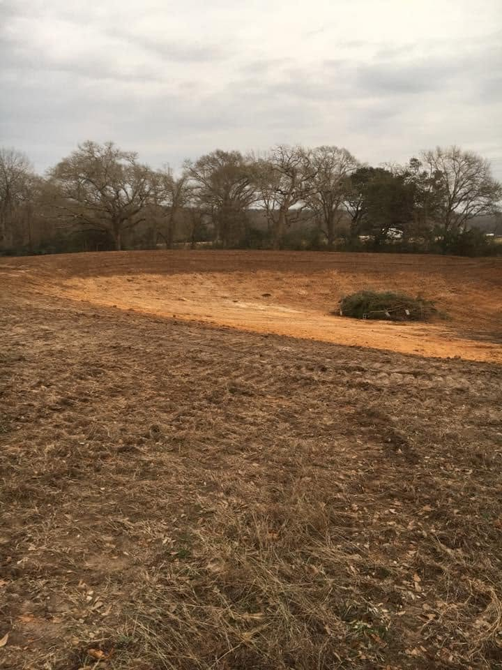Open brown field with a pale dirt path and leafless trees under an overcast sky
