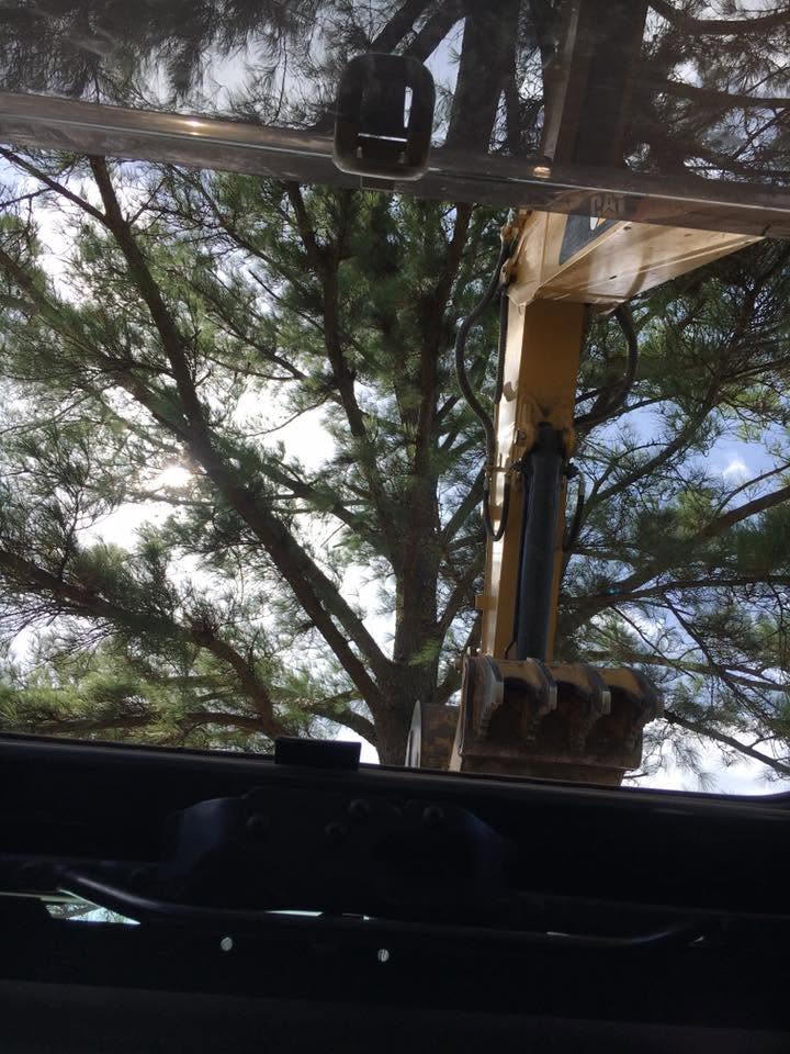 Construction excavator arm above a windshield, with trees and sky in the background