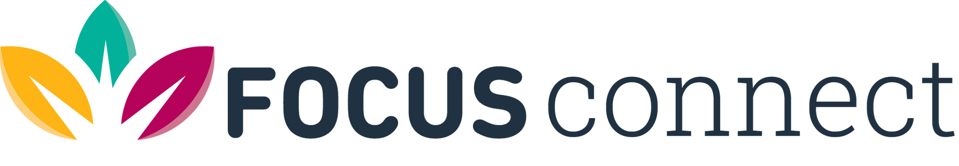 Focus Connect logo