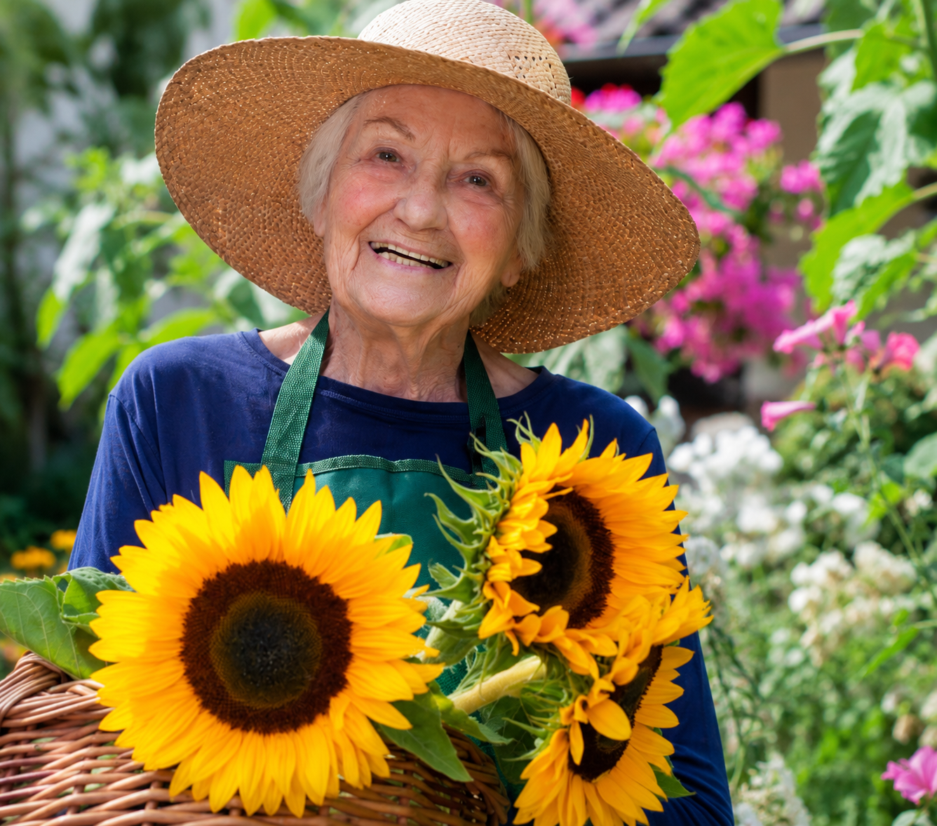 Senior man tending to potted plants at a Grow & Garden Group session