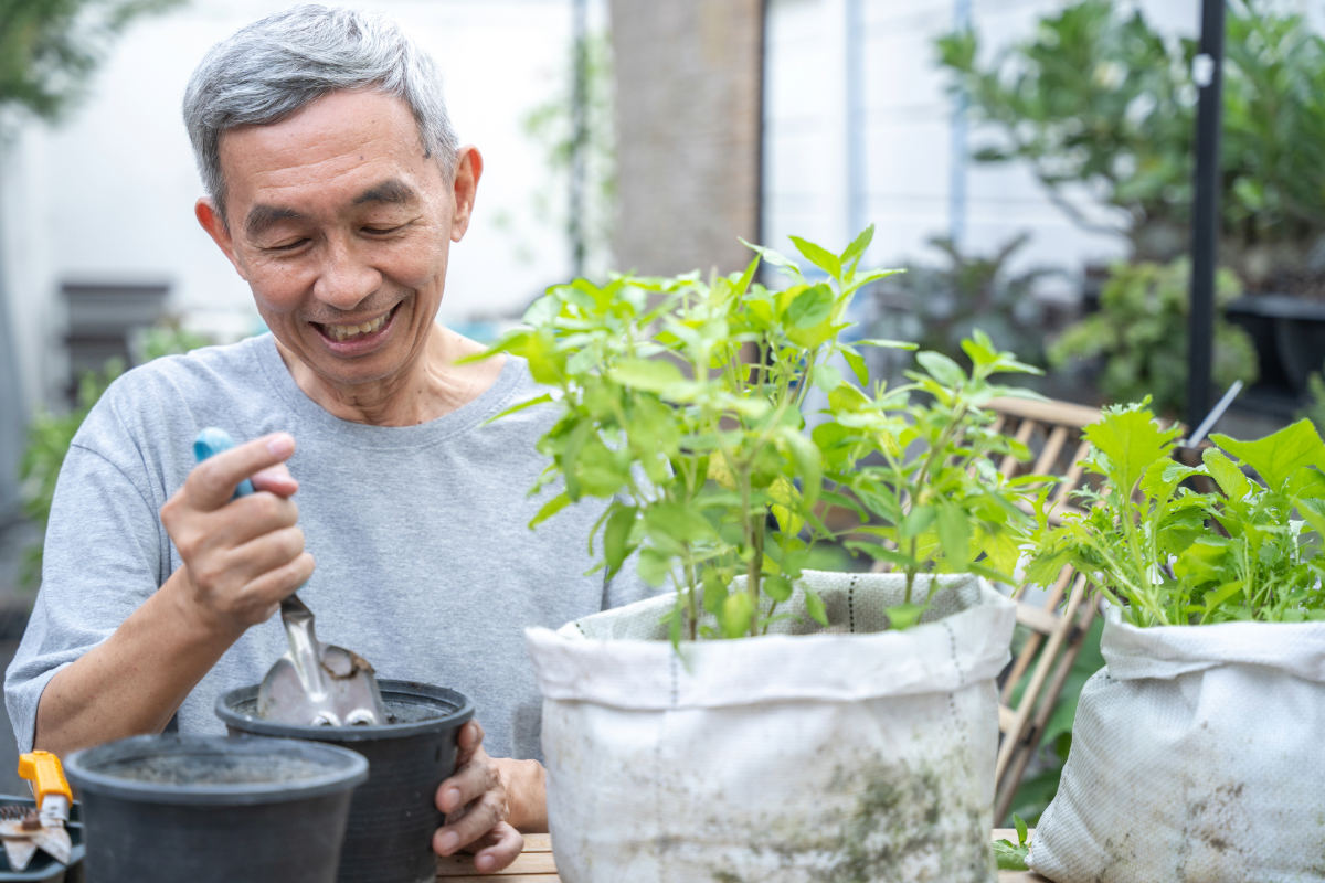Senior man tending to potted plants at a Grow & Garden Group session