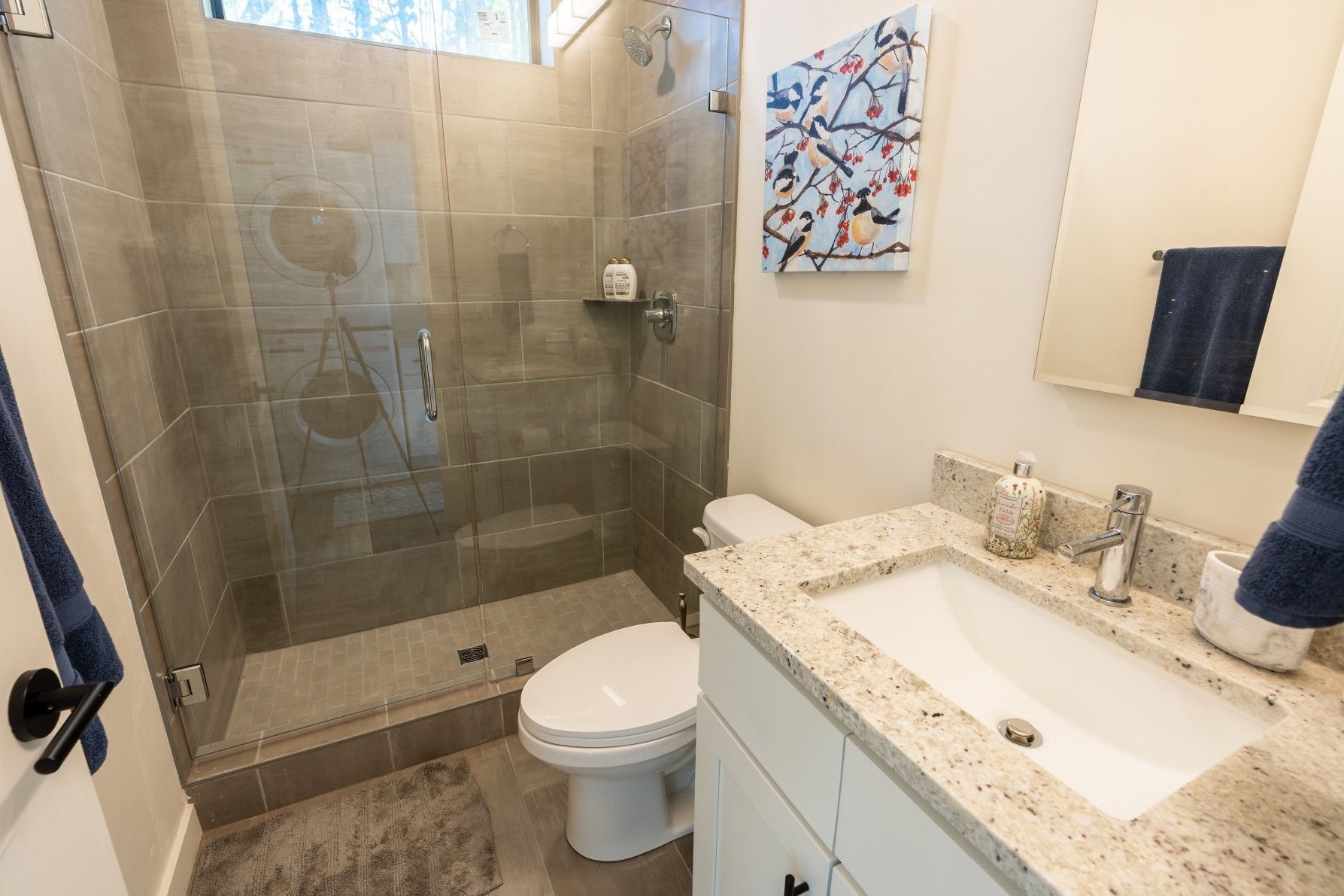 Perpetual Homes ADU: Bathroom with glass shower, white toilet, granite countertop, and art.