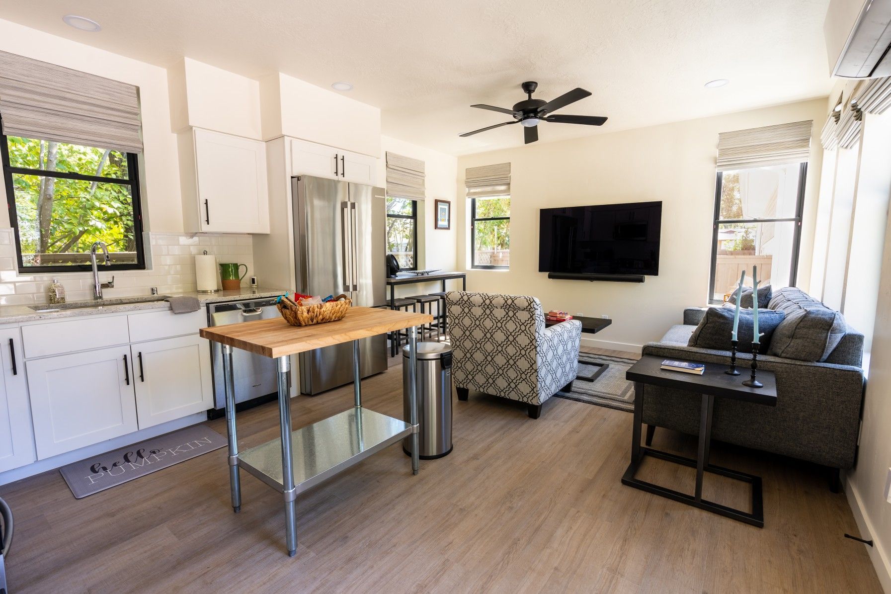 Perpetual Homes ADU: Open-concept living space with kitchen and living room. 