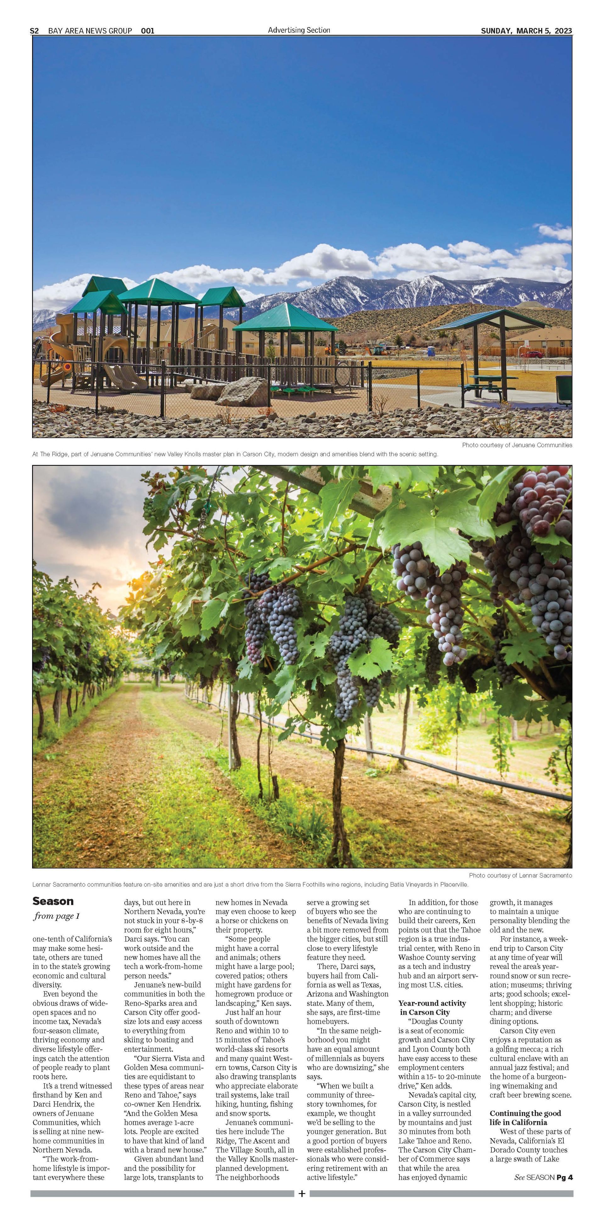 Playground against mountain backdrop; vineyard with hanging grapes.