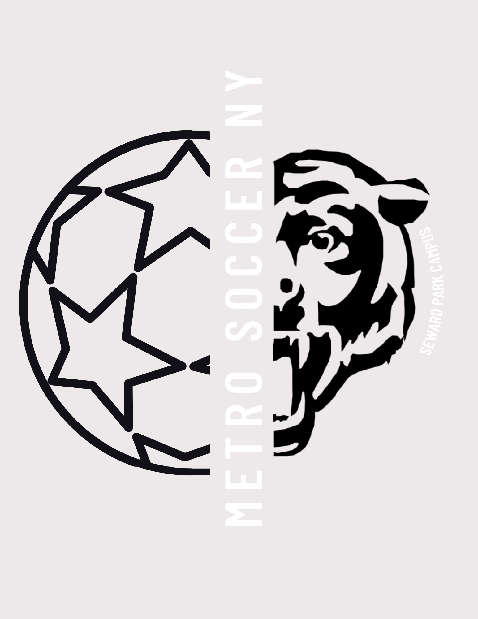 Metro Soccer team logo redesign by the Youth Design Collective