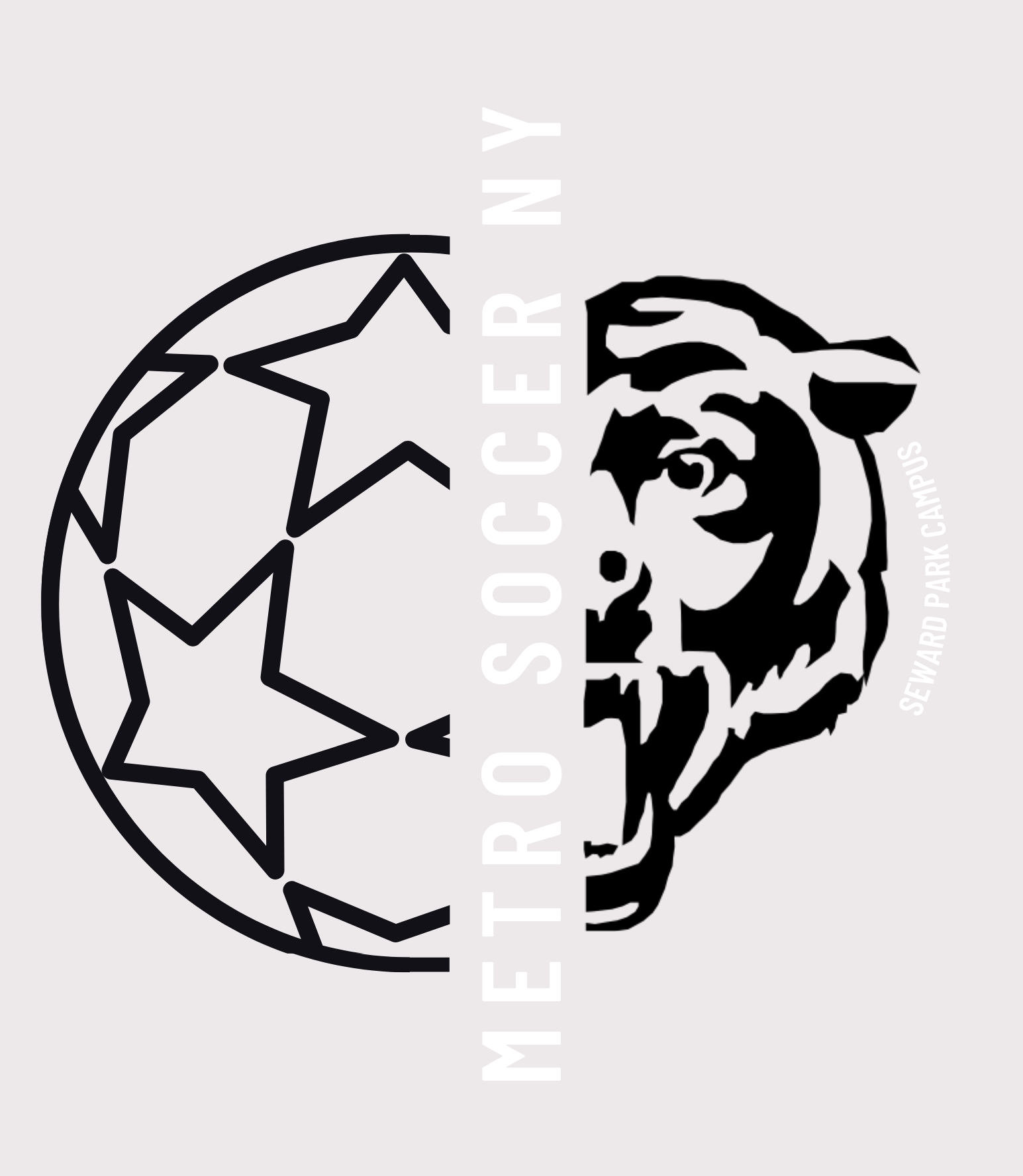 Metro Soccer and New Design High School