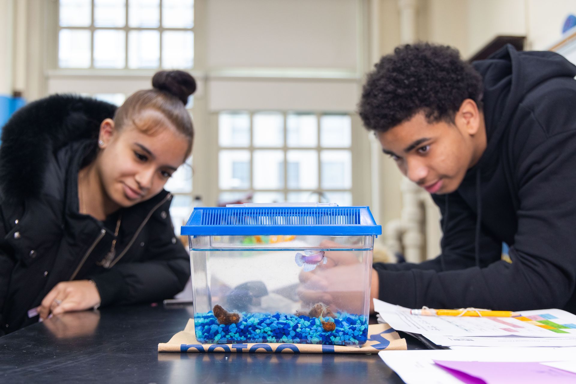 Two students looking into a fish bowl
