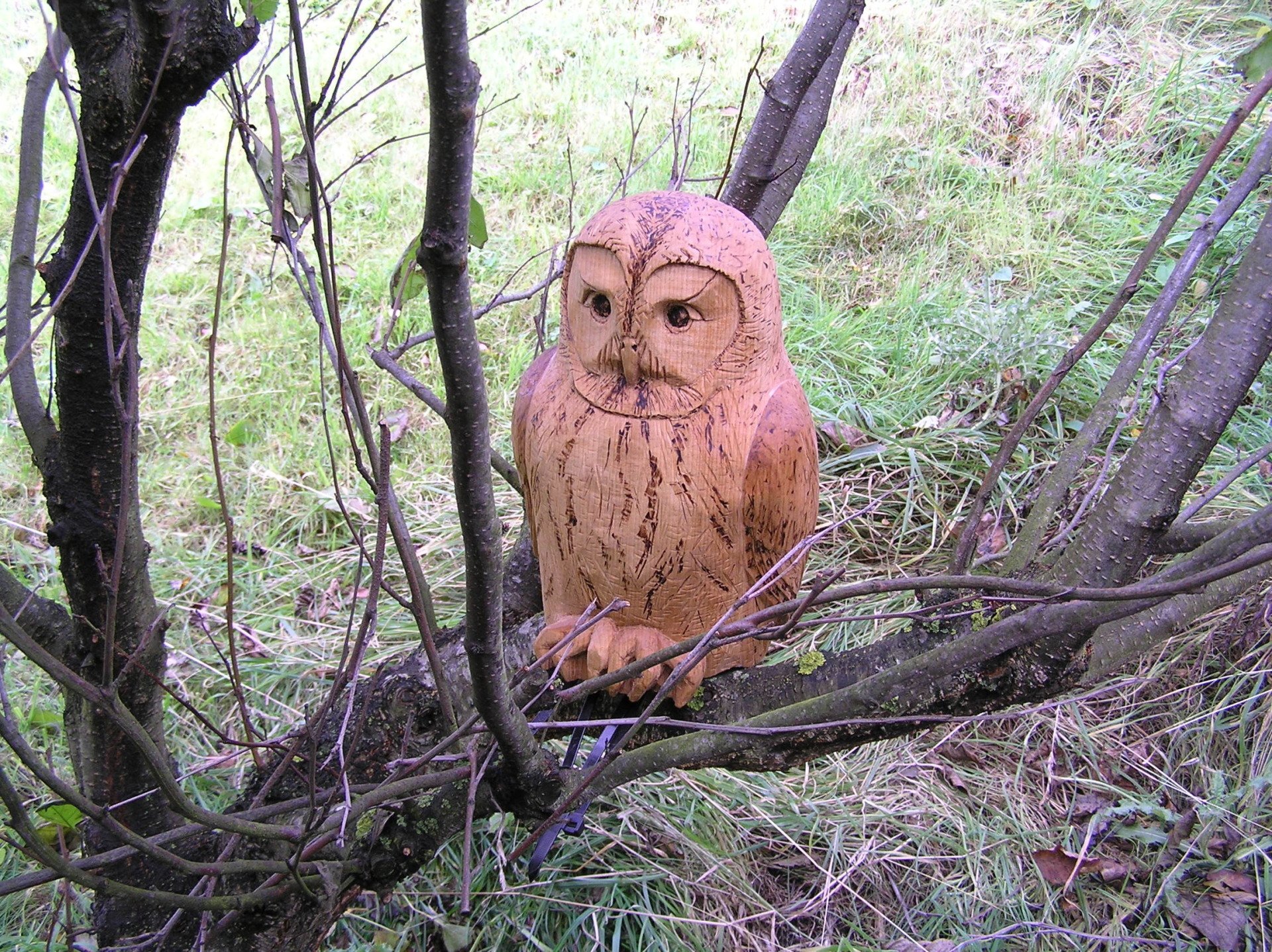 Garden Sculptures , Animal Sculpture & Garden Statues