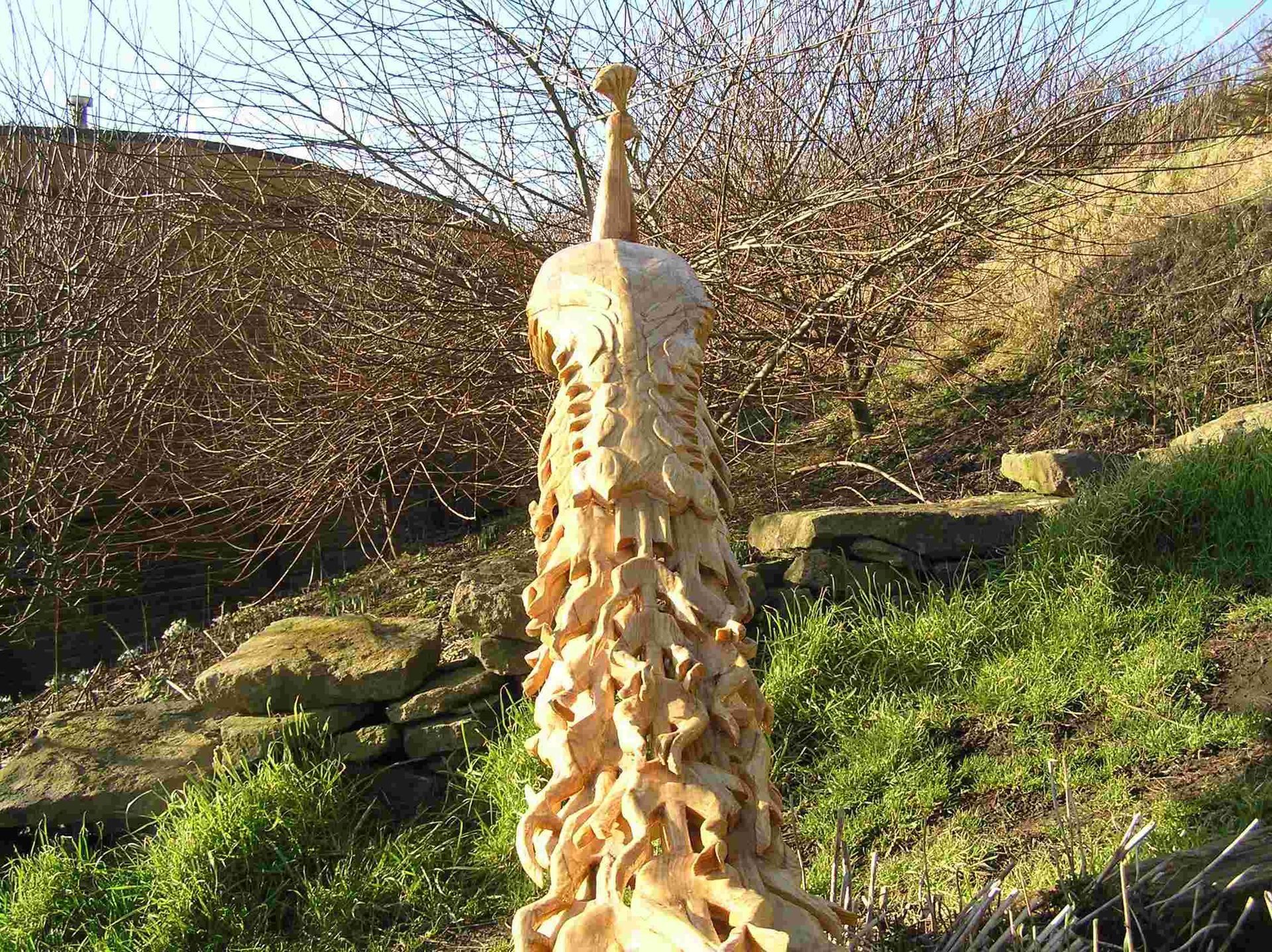 A life size garden sculpture of a peacock made by Ingrained Culture