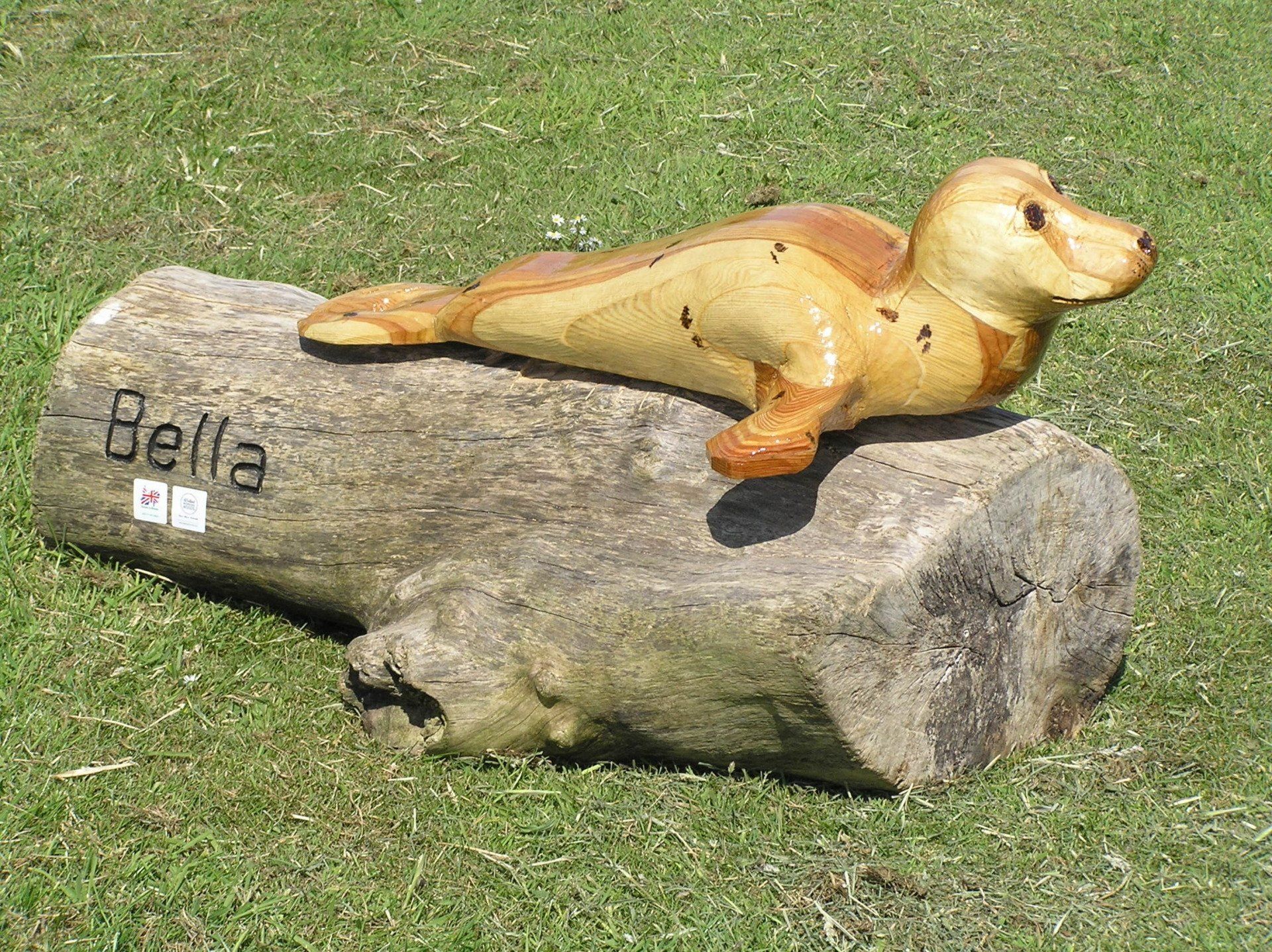 A wooden seal pup sculpture made by Robert Ingrained Culture