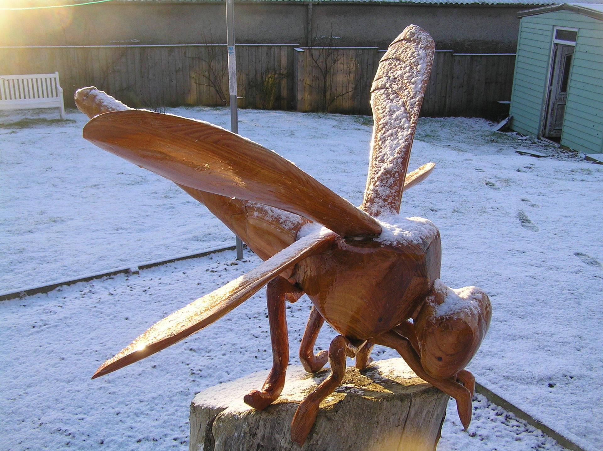 a dragonfly sculpture pictured in mid-winter made by Ingrained Culture