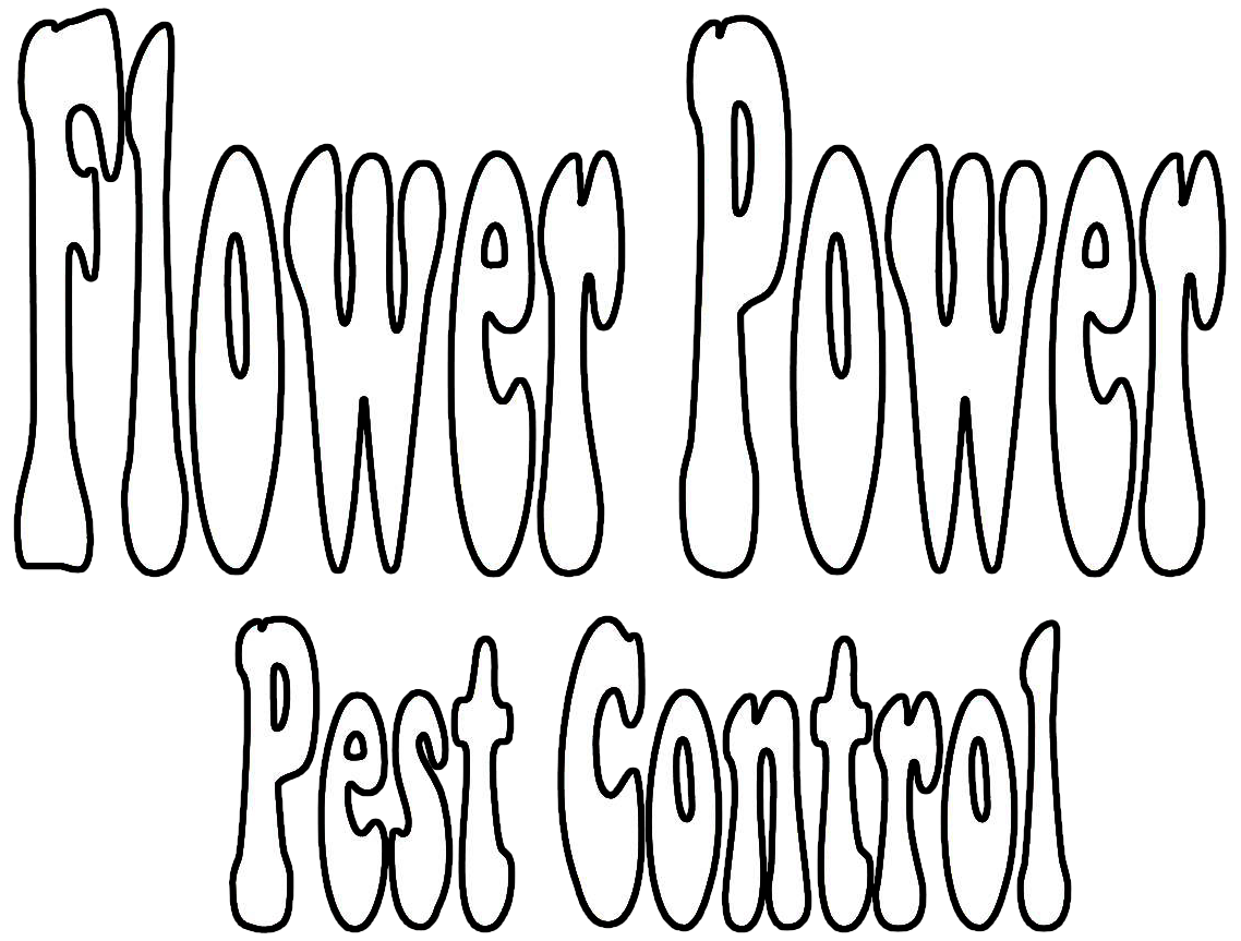 Black line art text on a white background that reads "Flower Power" above "Pest Control" in a stylized, groovy font.