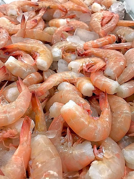 cooked headless shrimp
