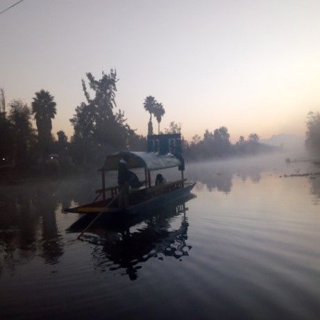Paseo en trajinera por Xochimilco al amanecer