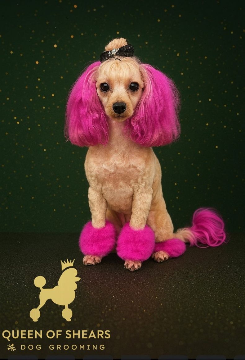 Two merle dogs sit on a white rug in front of a Christmas tree, wearing pink and blue branded bandanas.