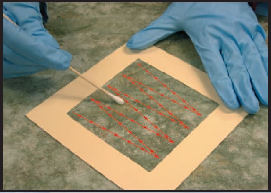 A person wearing blue gloves is cleaning a piece of paper with a cotton swab