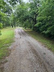 Gravel path curving through a lush green wooded area after rain