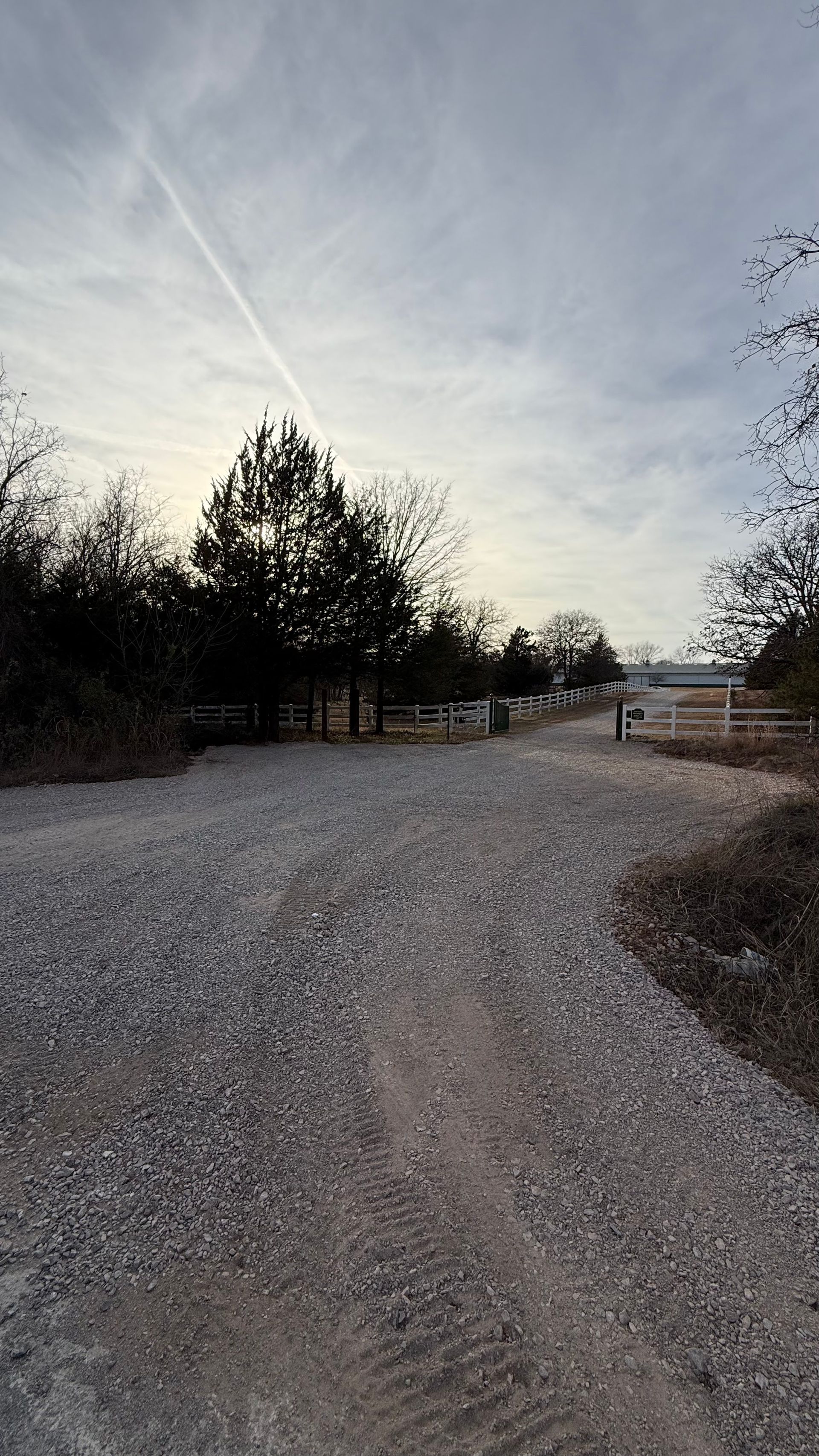 Gravel road curving through trees at dusk under a cloudy sky
