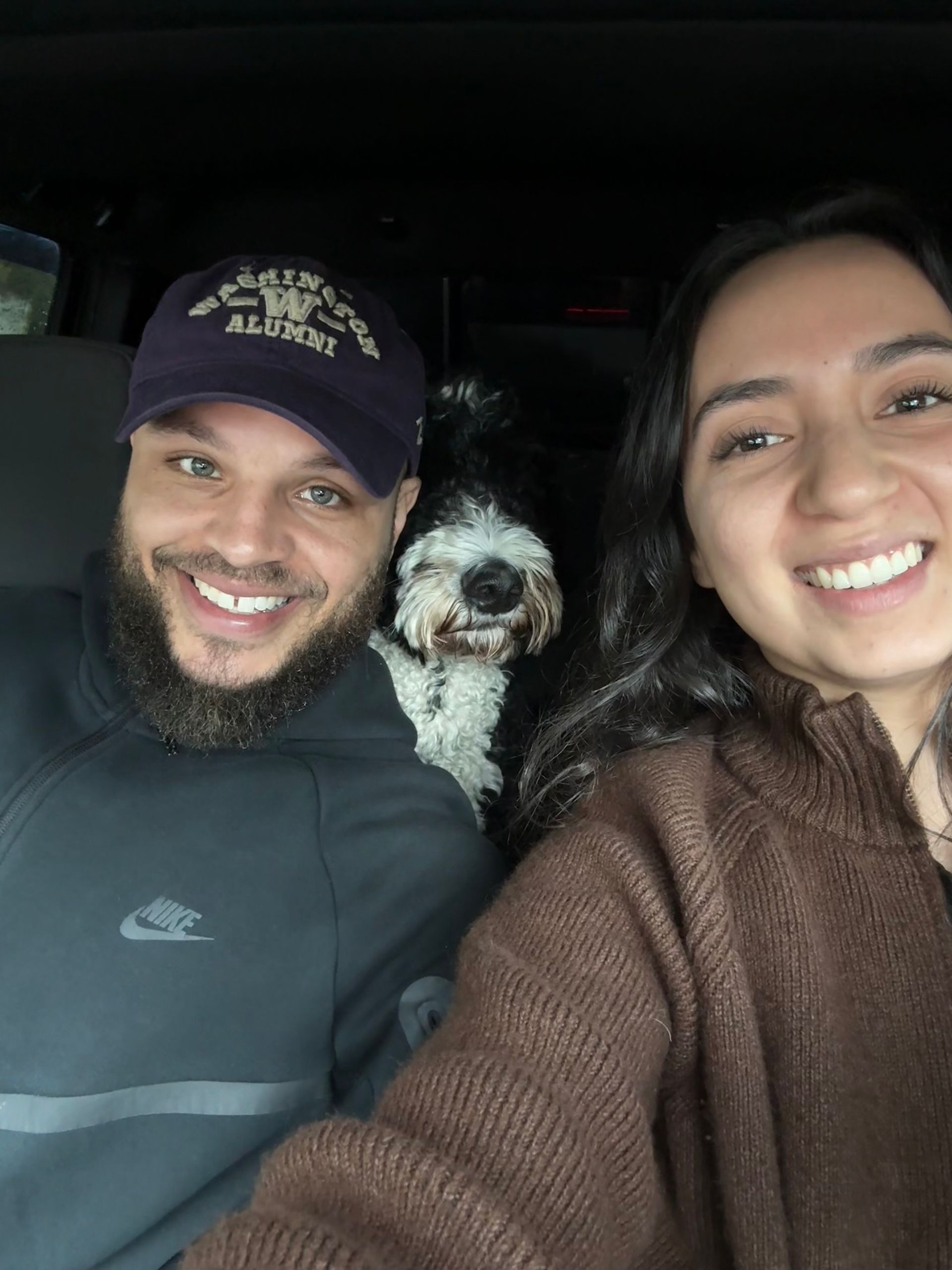 Owners of the company