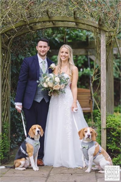 Bride and groom and two Beagles at Sandburn Hall in rose garden