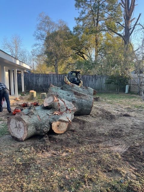 Pile of Logs in Backyard