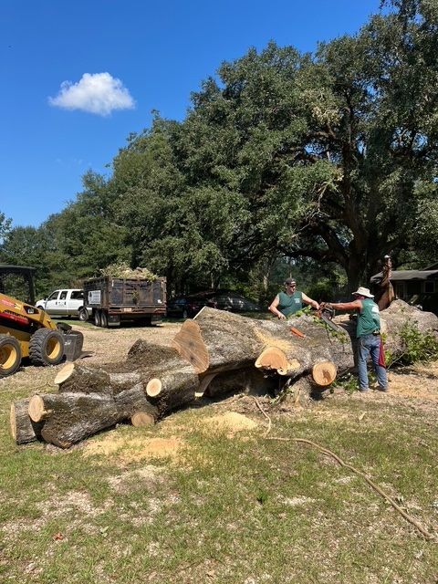 Tree Removal Service