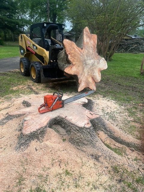 Chainsaw Placed on Top of a Tree Stump