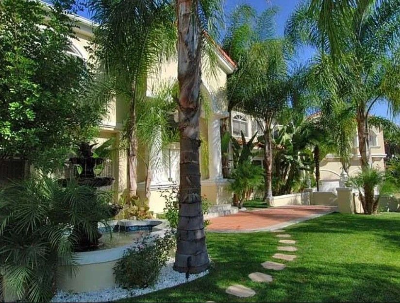A house with a palm tree in front of it