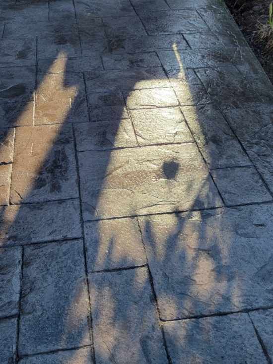Shadow of a person on sunlit stone pavement with a small bird-shaped shadow nearby