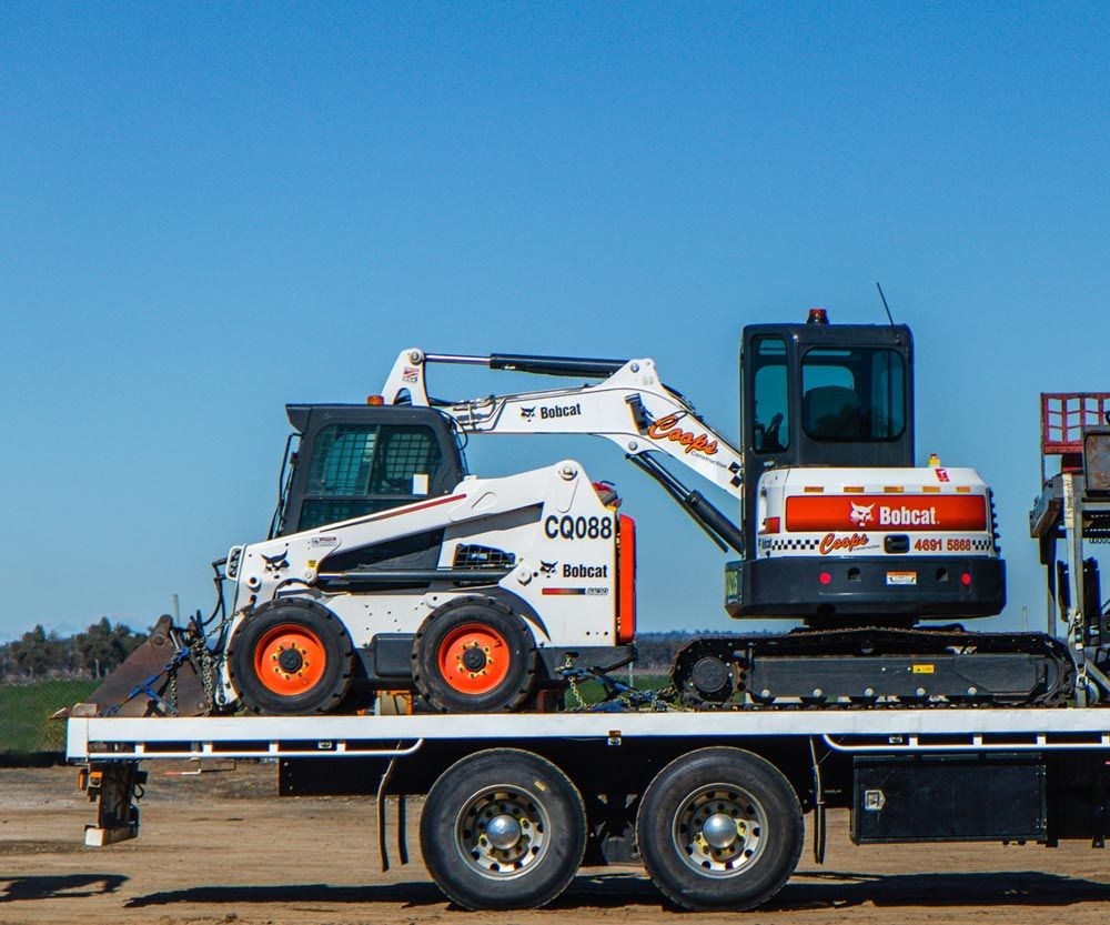Bobcat being transported