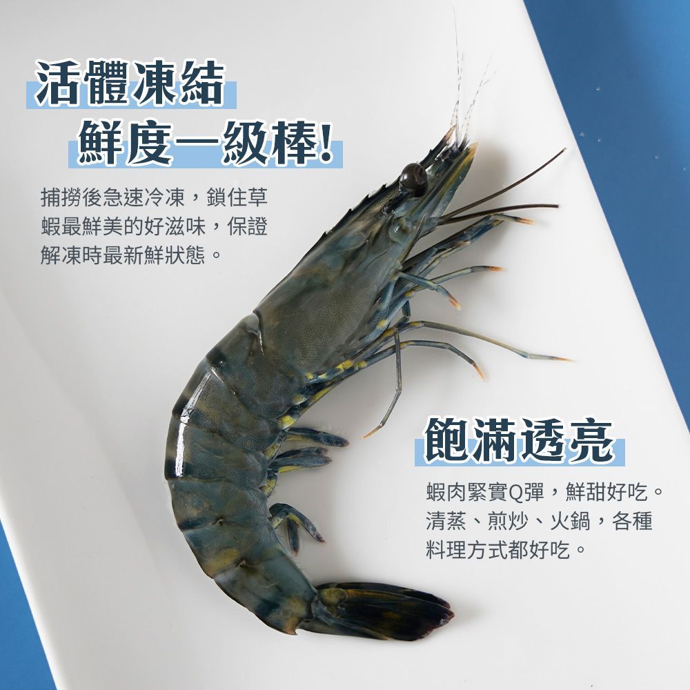【蝦肉扎實彈牙】活凍帶頭草蝦 12尾