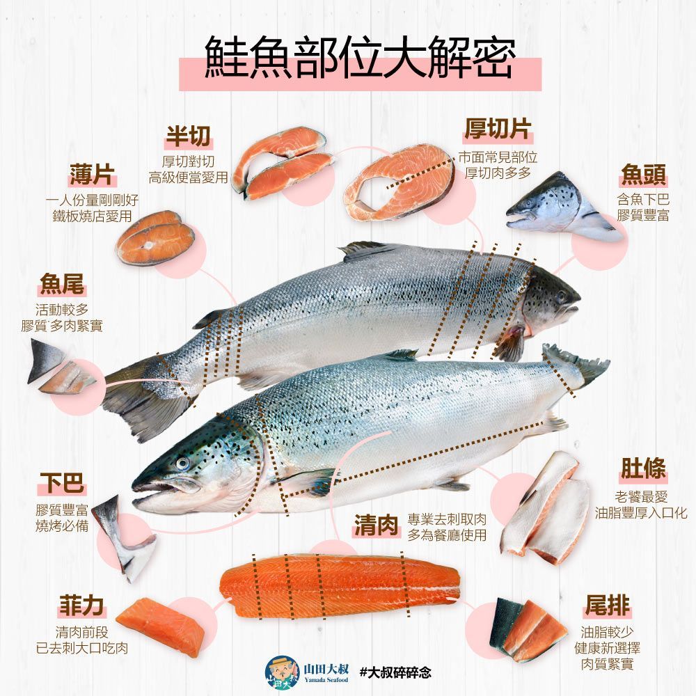 【台灣人最愛魚】智利鮭魚厚切片
