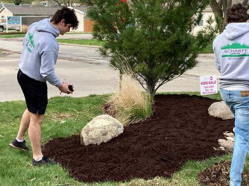 Lawn & garden care Lawn & garden care