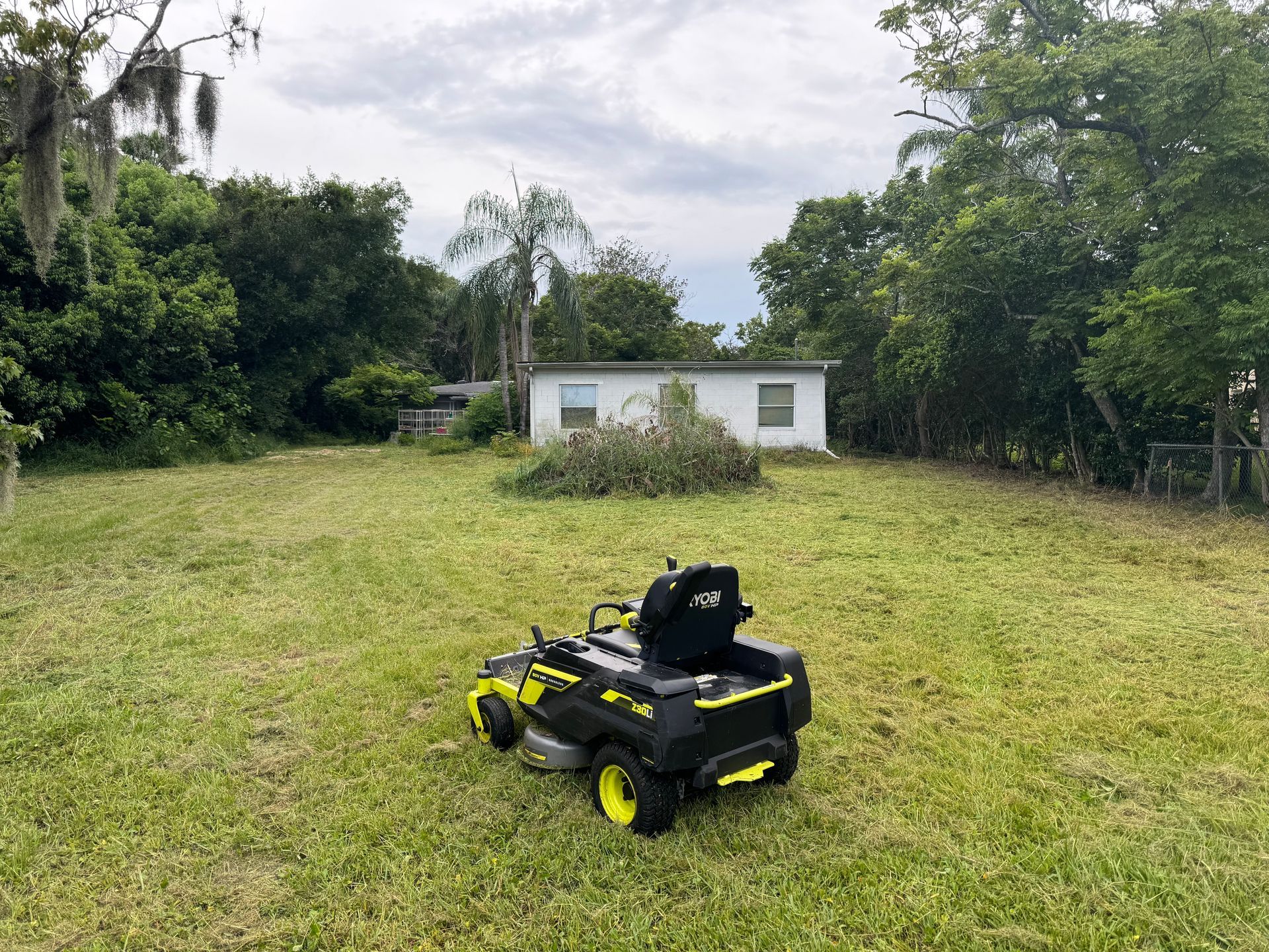 Residential yard freshly mowed with commercial lawn mower as part of weekly lawn maintenance service.