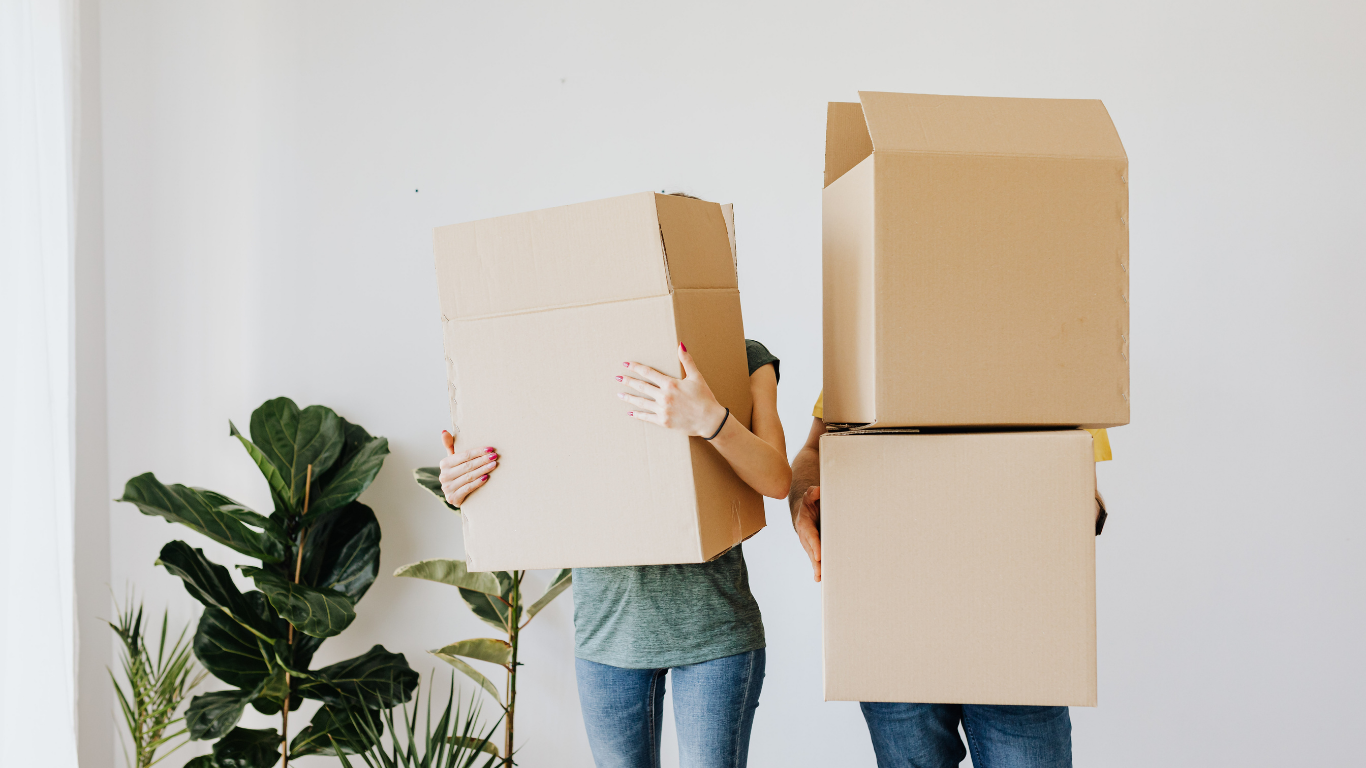 Person writing on cardboard boxes in a room with stacked moving boxes and a plant.