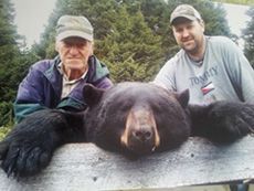Two men are standing next to a black bear laying on a wooden bench.