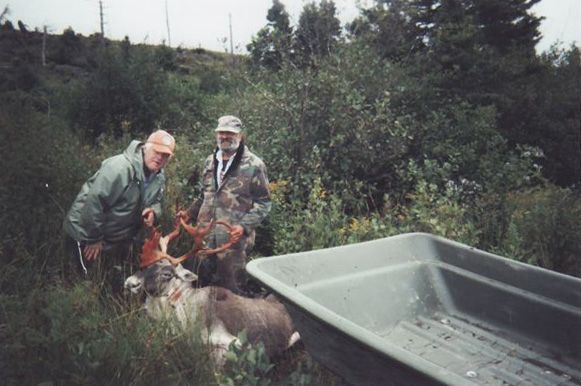 Trophy Caribou