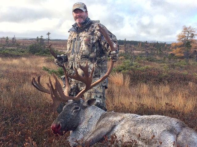 Trophy Caribou
