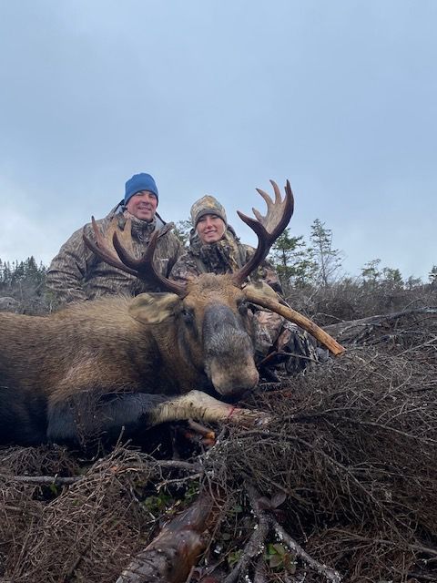 Trophy Moose