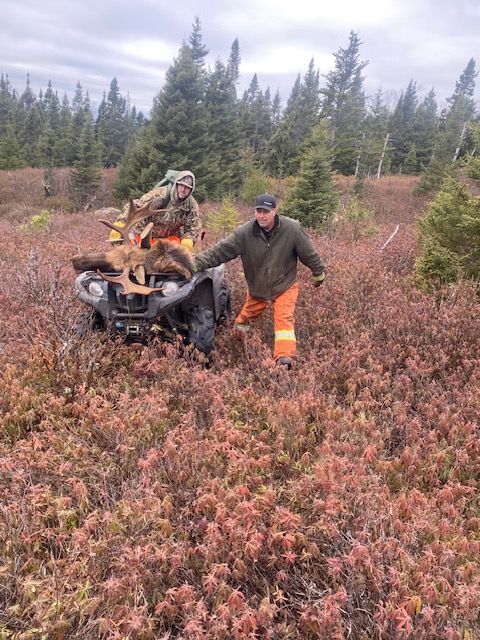 A man is pushing a moose on a four wheeler through a field.