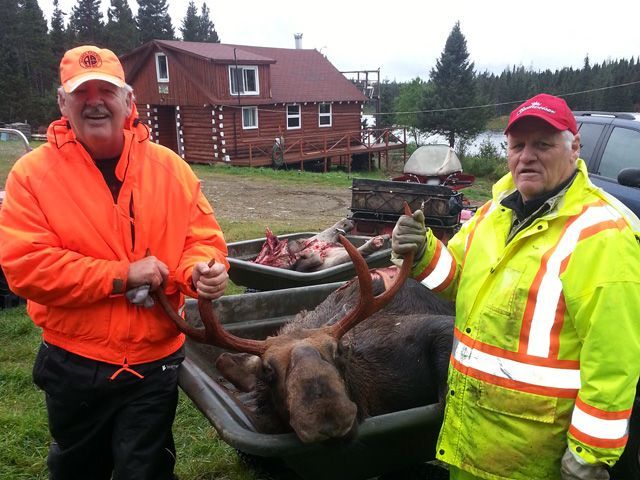Two men standing next to a moose in a cart