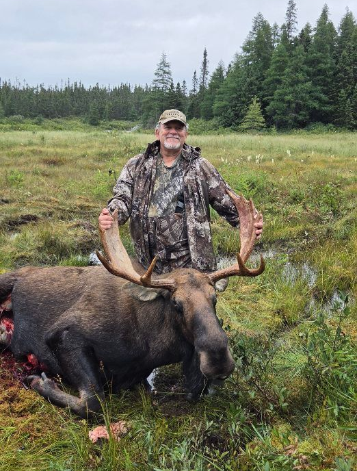 Trophy Moose