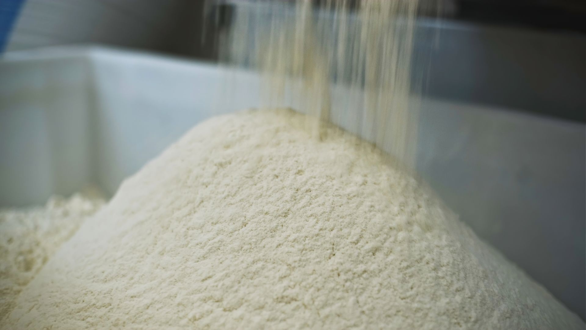 Industrial production of white powder pouring into container. 