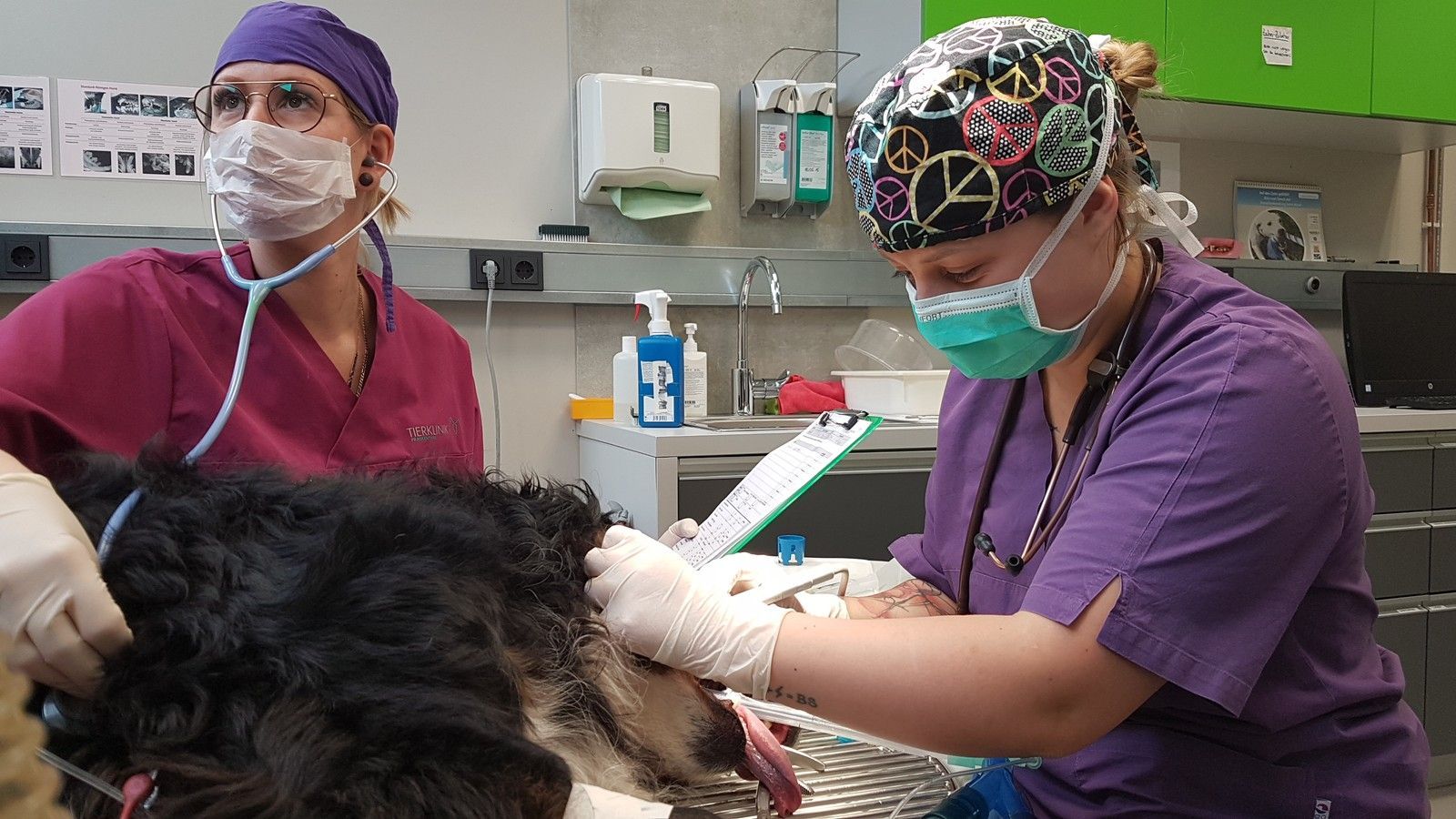 Zwei Tierärztinnen untersuchen einen Hund in einem Operationssaal.