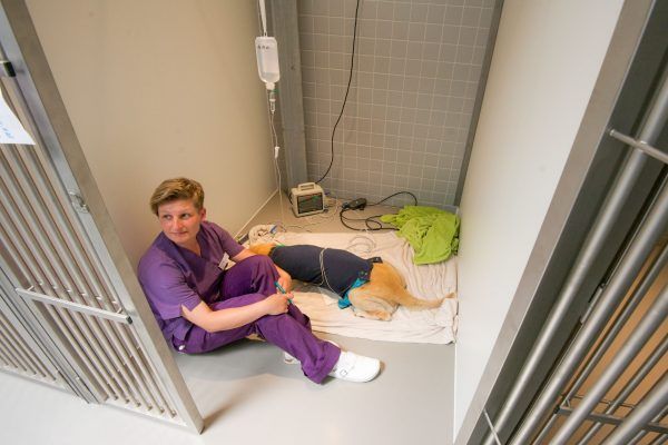Eine Frau in einem lila OP-Kittel sitzt neben einem Hund auf dem Boden.