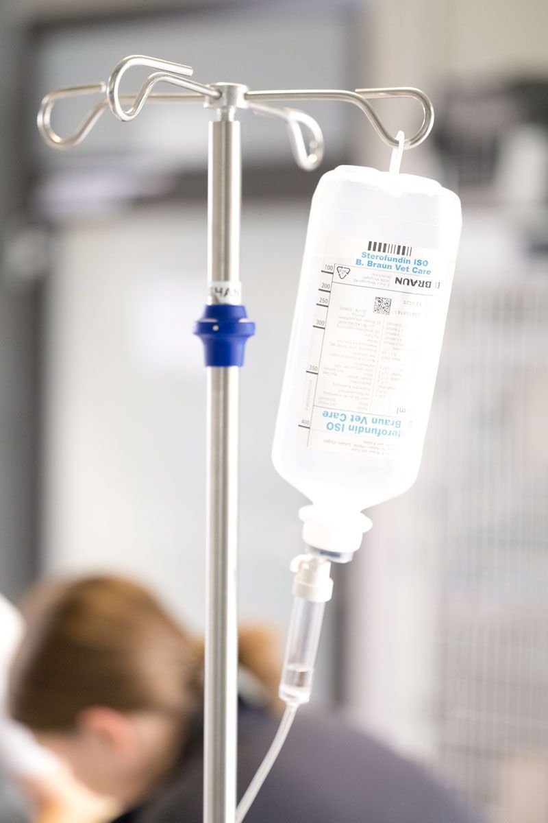 Einer Person legt eine Infusion.