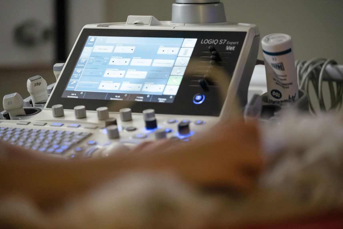 Eine Nahaufnahme einer Person, die ein Ultraschallgerät benutzt.