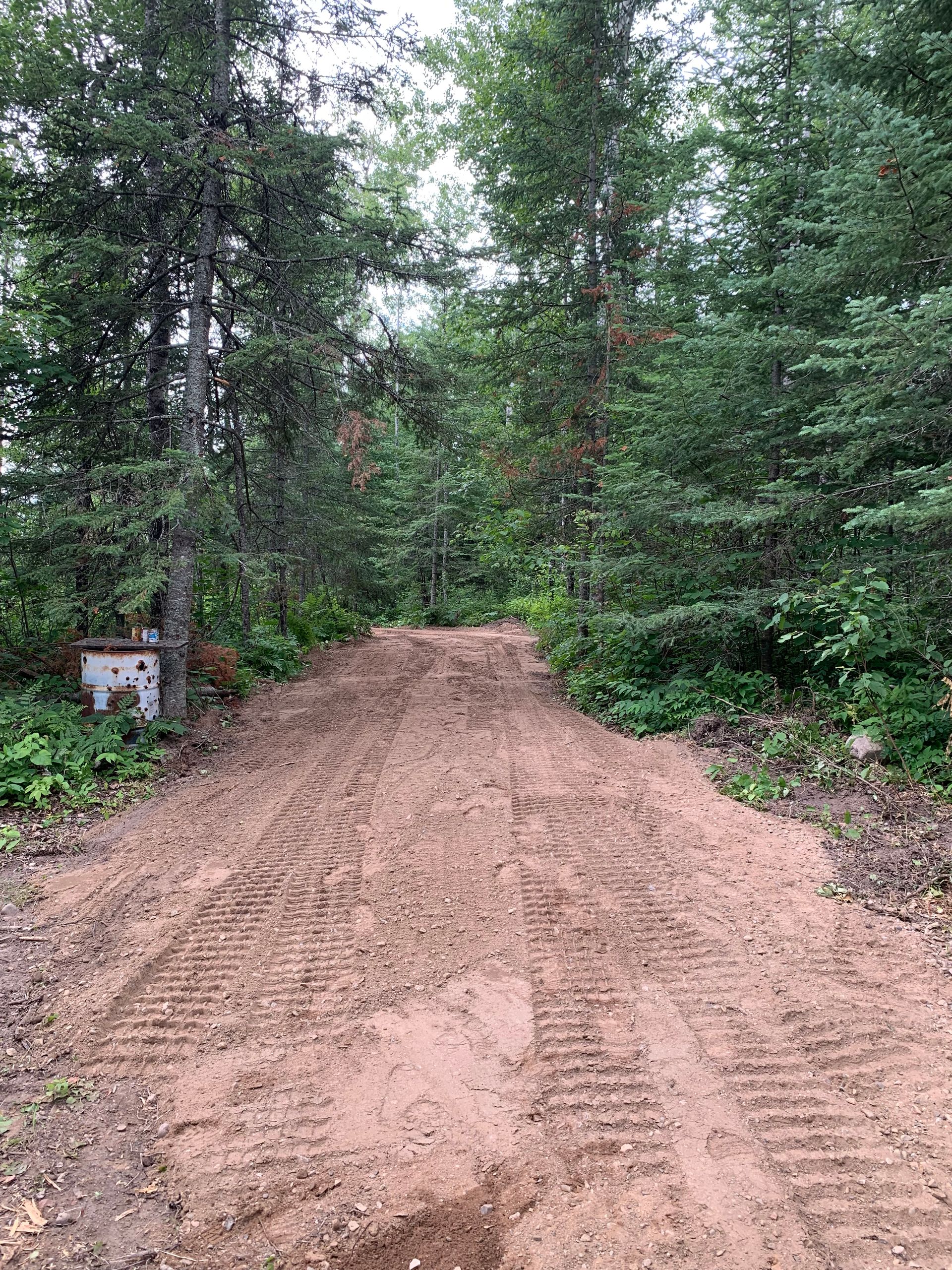 Dirt road leading into a dense green forest, with a small utility box on the left.