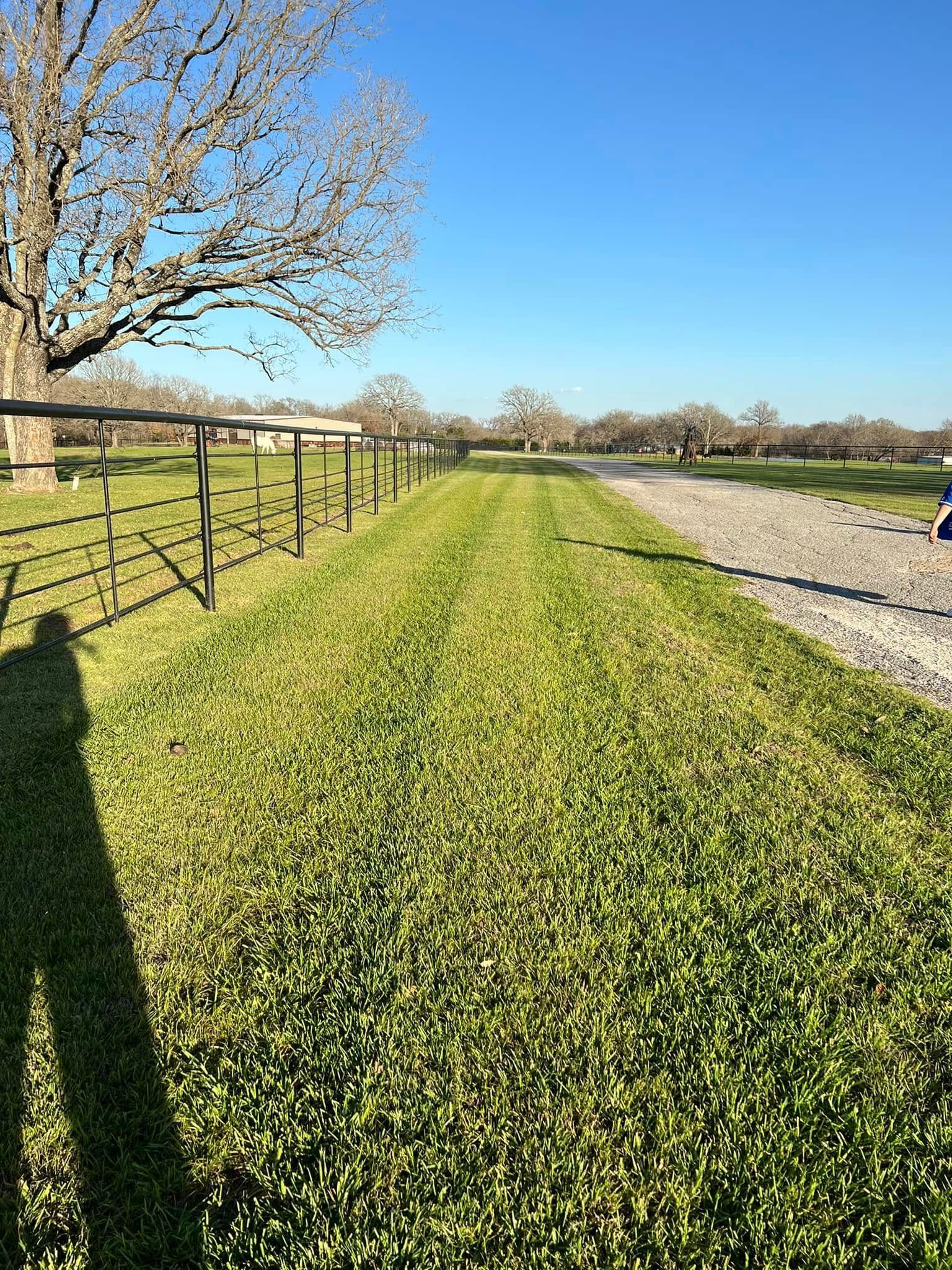 Grassy path beside a fence and gravel road under a clear blue sky with a blooming tree on the left